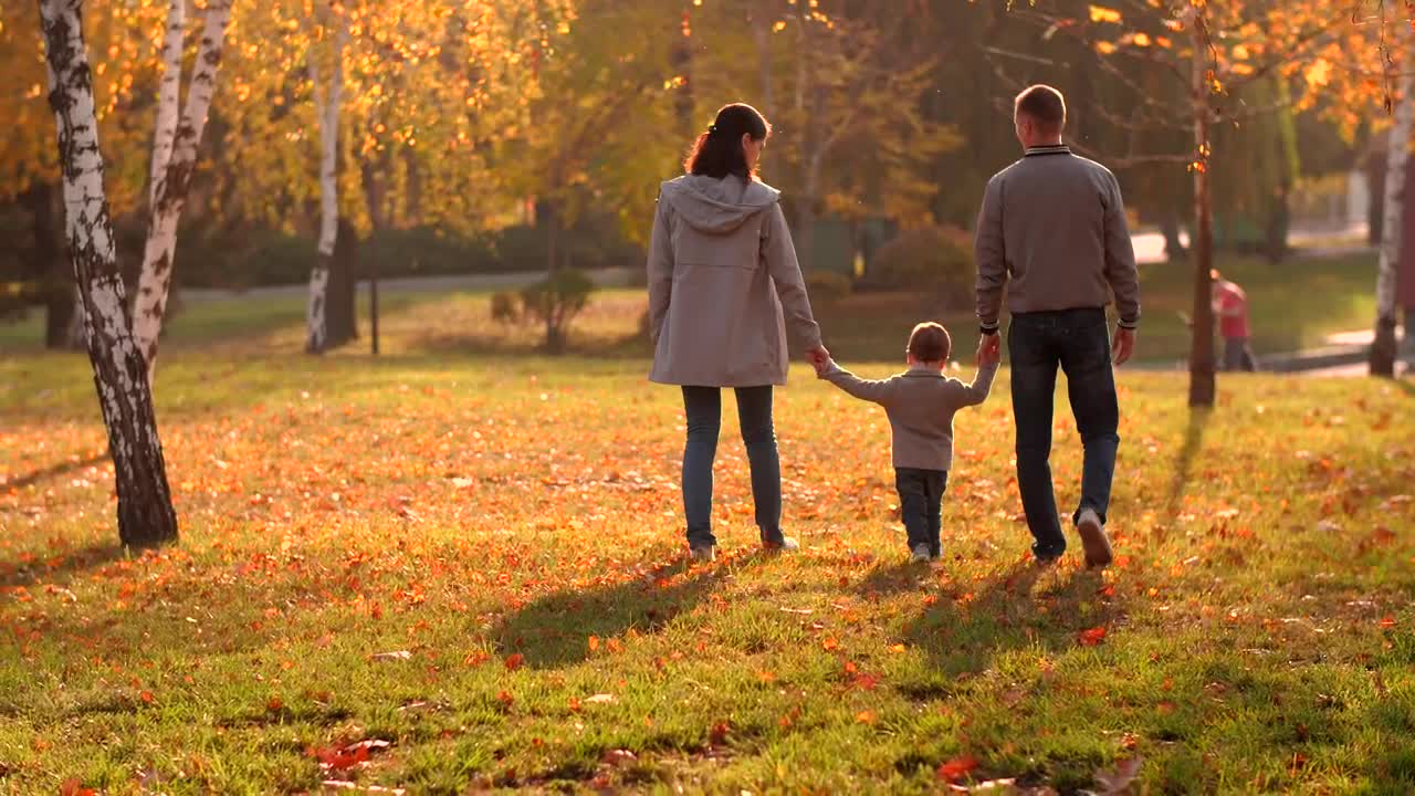 Stock Video Family Walking In The Park Full Shot Live Wallpaper For PC