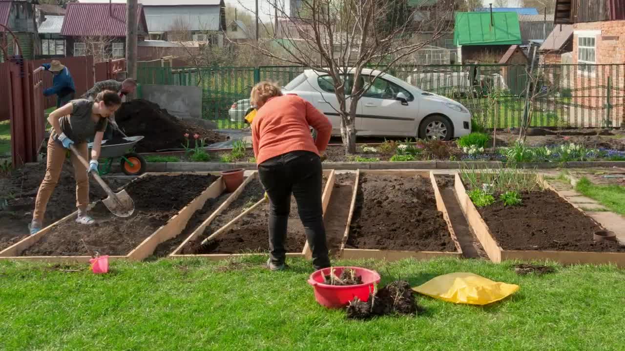 Stock Video Family Taking Care Of The Garden Live Wallpaper For PC