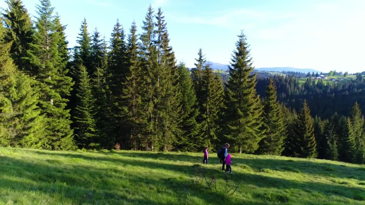 Stock Video Family Taking A Walk In The Meadow Next To The Live Wallpaper For PC