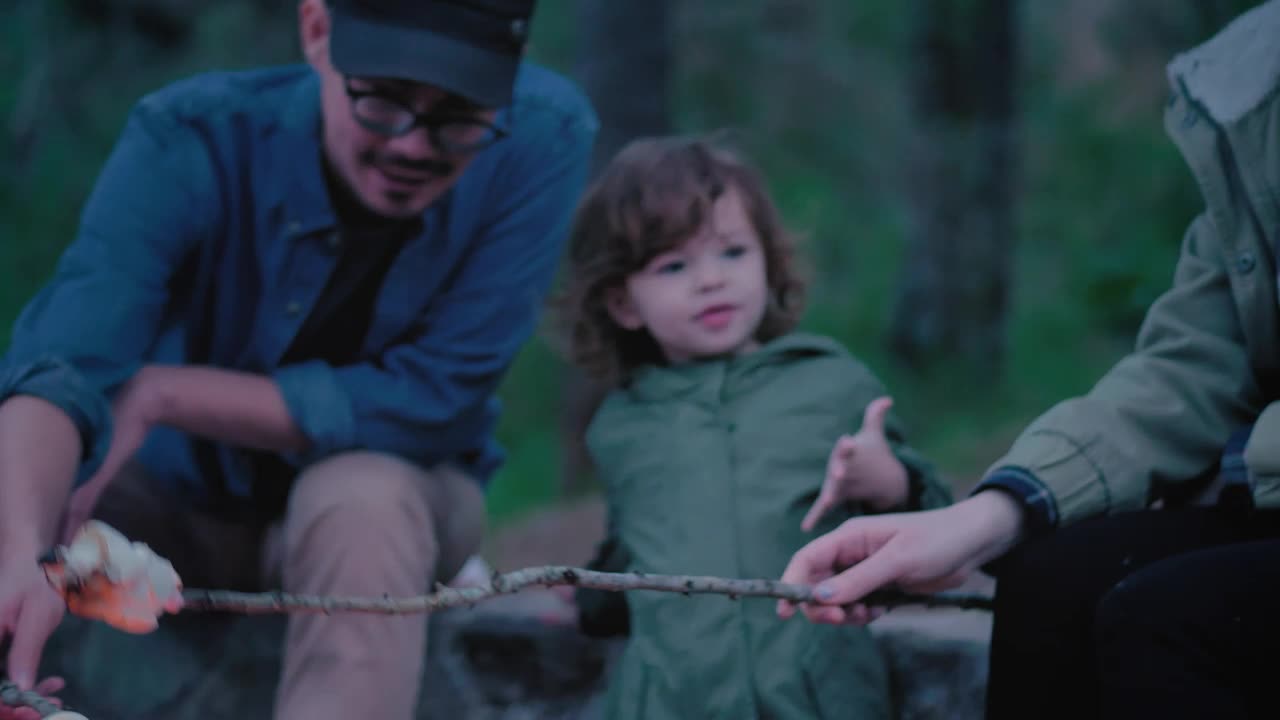 Stock Video Family Roasting Marshmallows Over A Campfire Live Wallpaper For PC