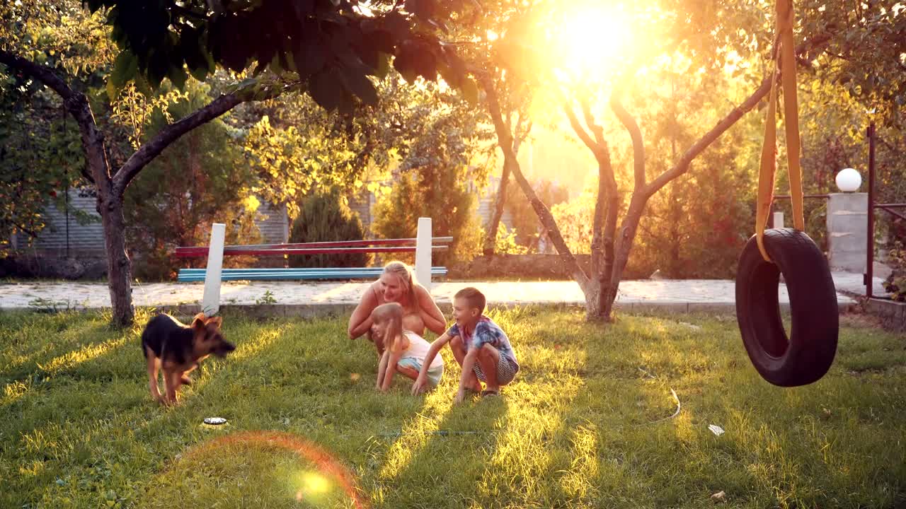 Stock Video Family Playing With A Dog In The Garden Live Wallpaper For PC