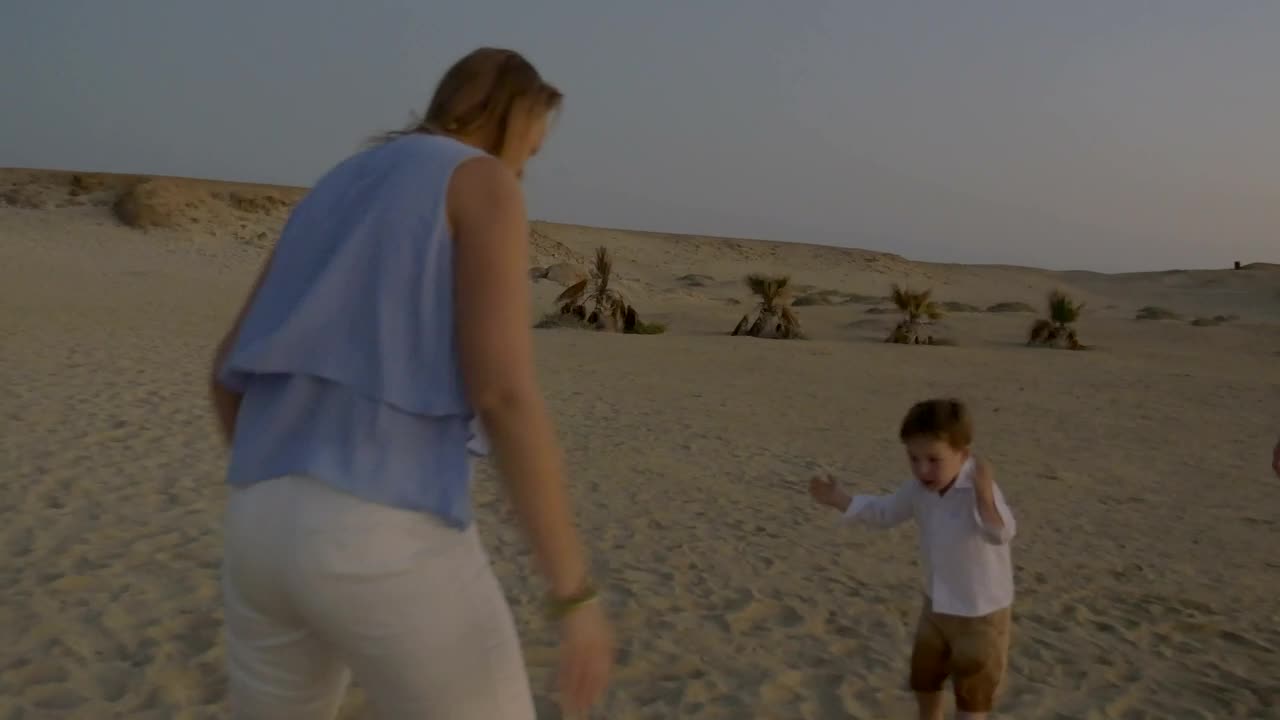 Stock Video Family Playing Together On The Beach Live Wallpaper For PC