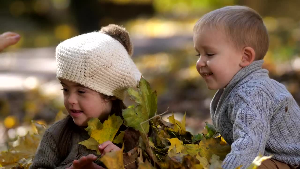 Stock Video Family Playing In The Autumn Leaves Live Wallpaper For PC
