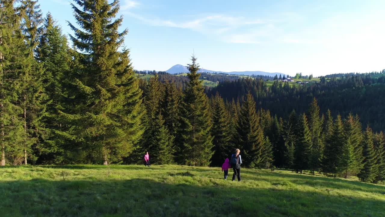 Stock Video Family Exploring The Meadow Live Wallpaper For PC