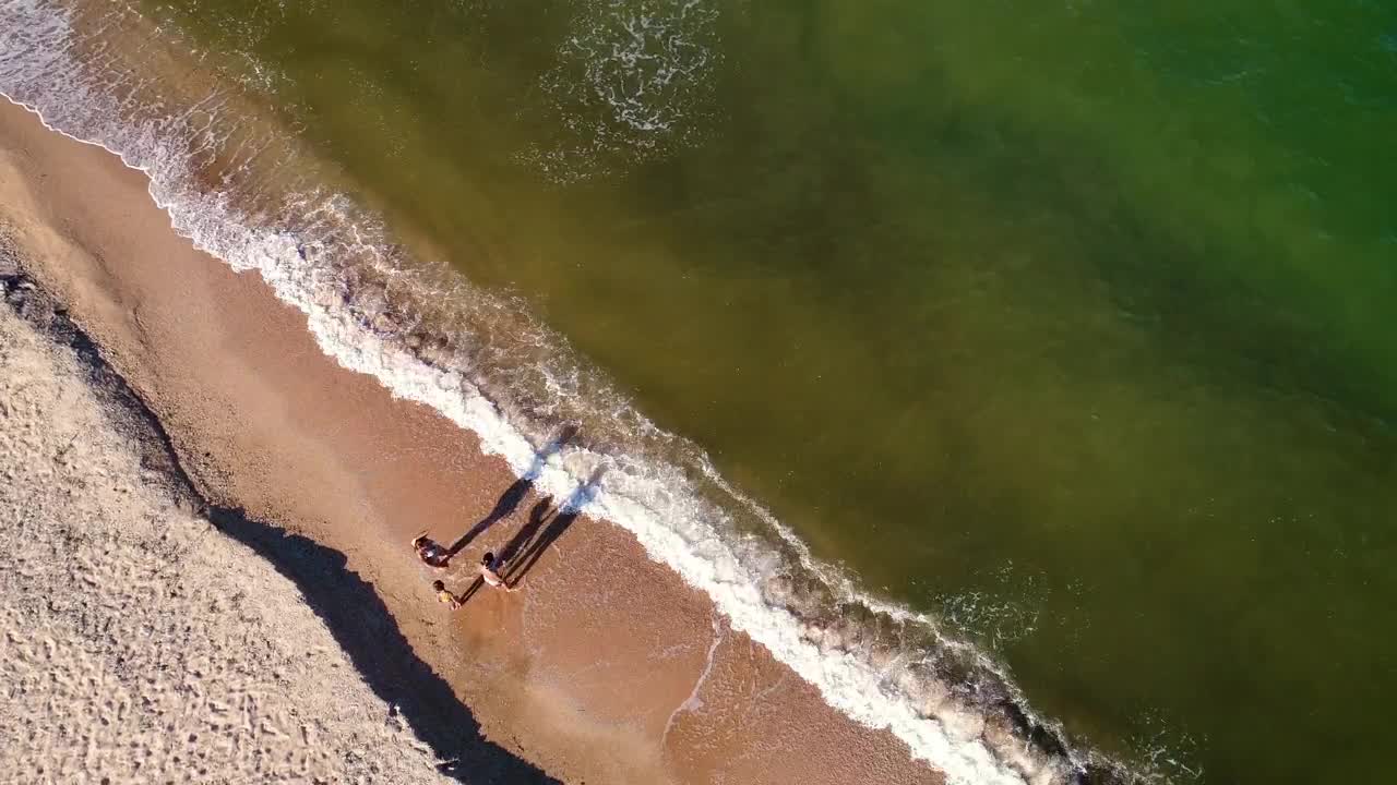 Stock Video Family Enjoying The Seashore Aerial Shot Live Wallpaper For PC