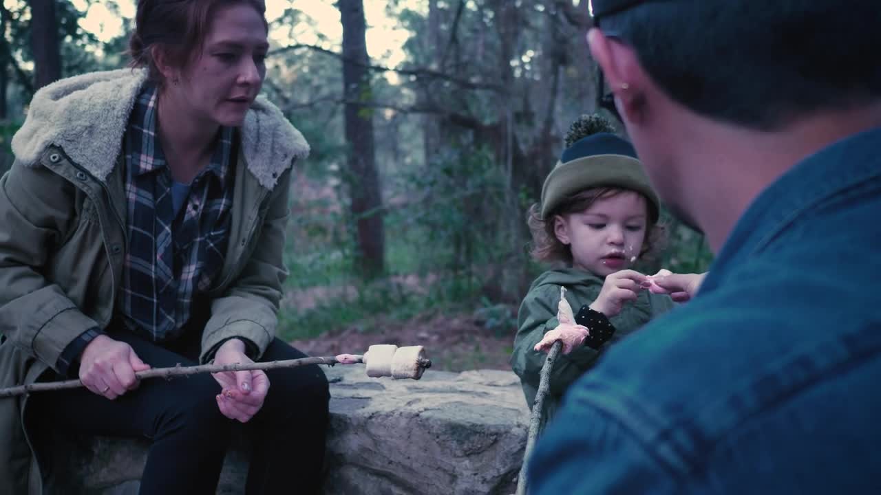 Stock Video Family Eating Roasted Marshmallows In A Forest Live Wallpaper For PC