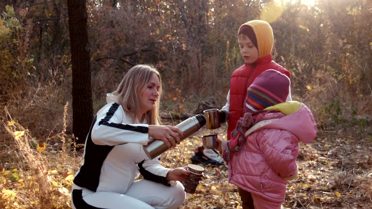 Stock Video Family Drinking Tea In An Autumn Forest Live Wallpaper For PC