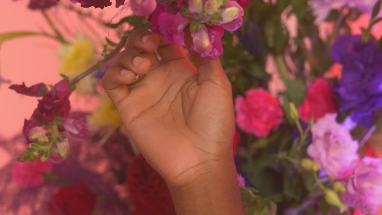 Stock Video Hand Of An Lgbtq Man Stroking Flowers Live Wallpaper For PC
