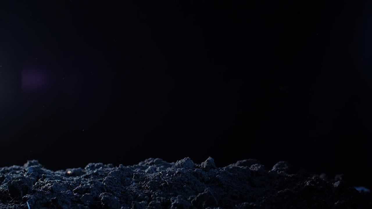 Stock Video Hand Of An Undead Rising From His Grave Live Wallpaper For PC