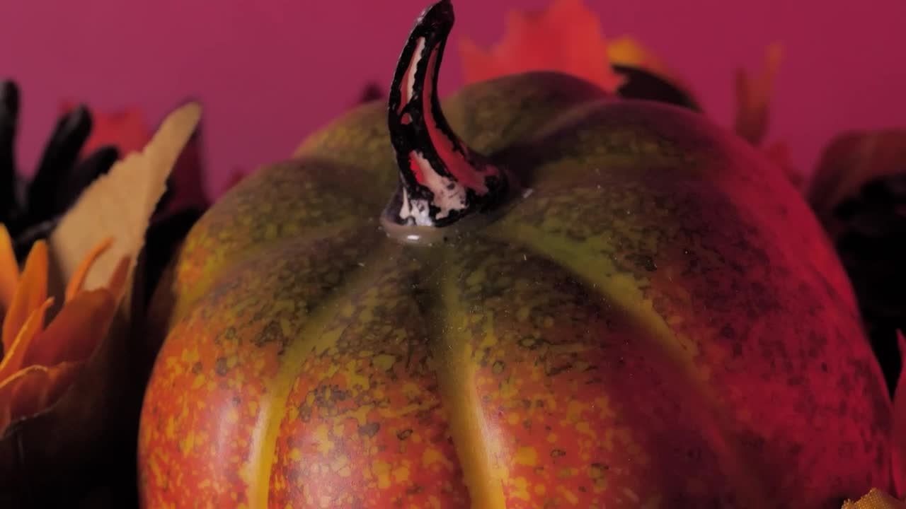 Stock Video Halloween Pumpkin Treats Live Wallpaper For PC