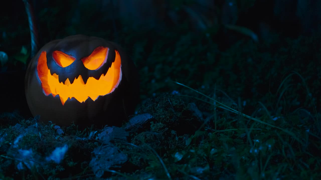 Stock Video Halloween Pumpkin In The Garden Live Wallpaper For PC