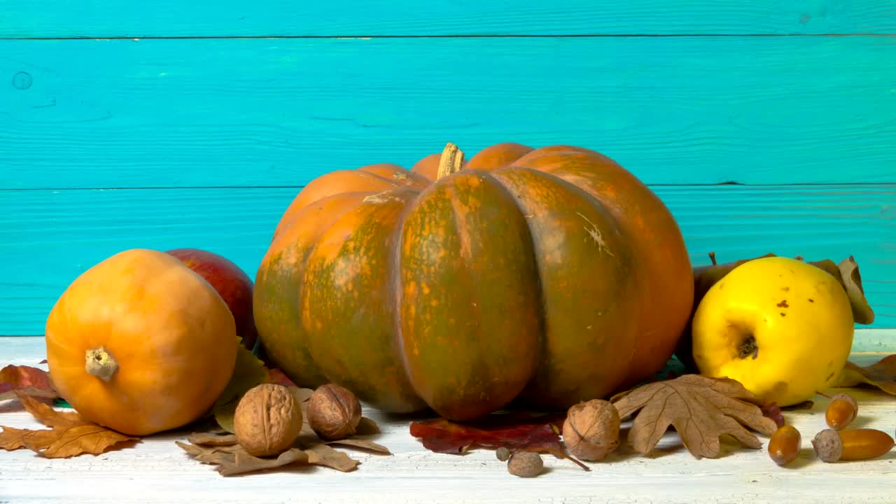 Stock Video Halloween Decoration With Dead Nature Live Wallpaper For PC