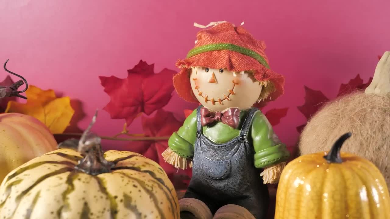 Stock Video Halloween Autumn Ornaments Live Wallpaper For PC