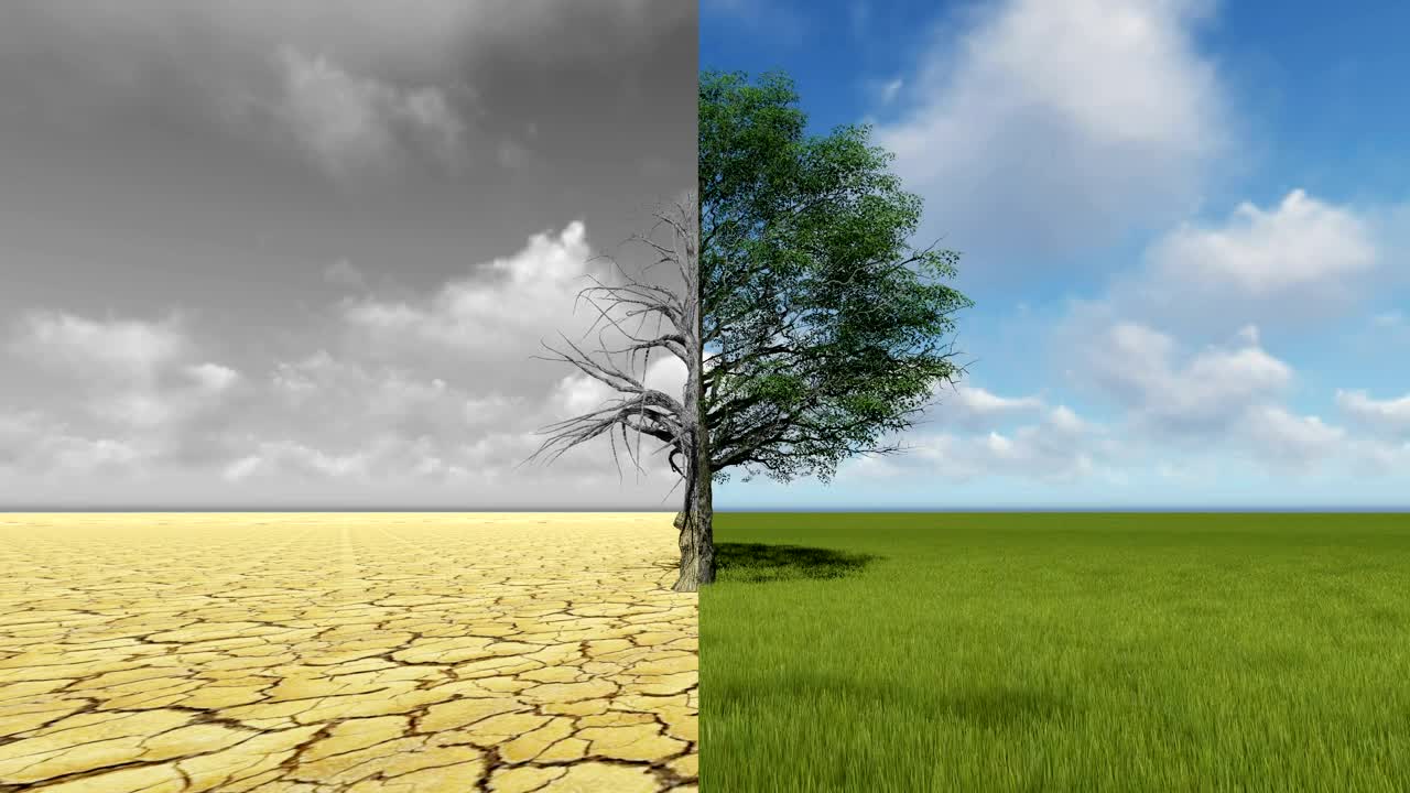 Stock Video Half A Tree In The Desert And In A Garden Live Wallpaper For PC