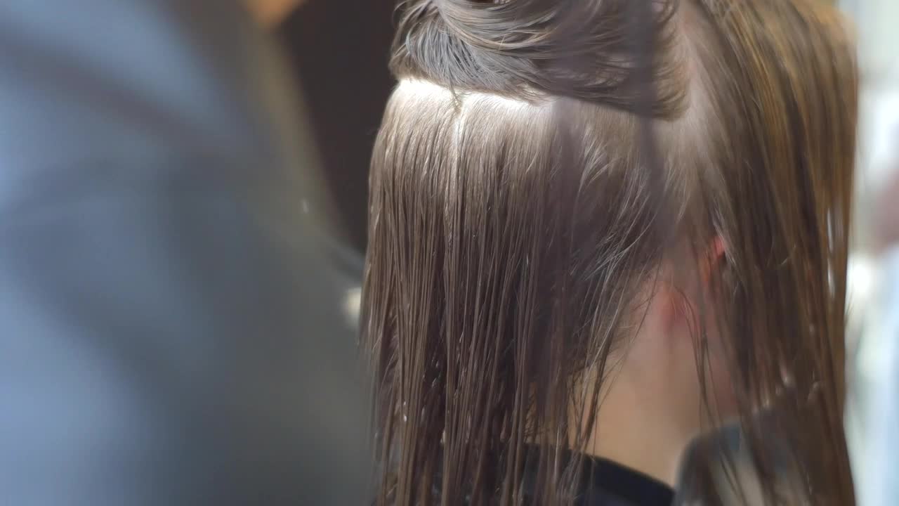 Stock Video Hairstylist Working With Wet Hair Live Wallpaper For PC