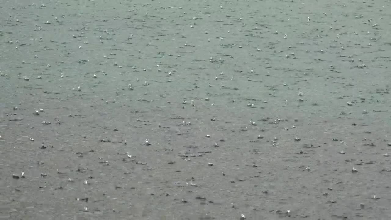 Stock Video Hail Falling Into The Lake Water Live Wallpaper For PC