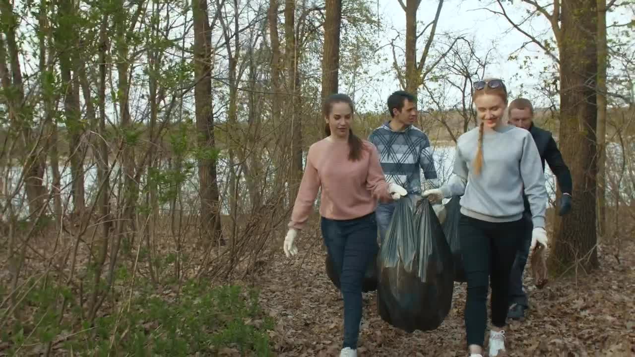 Stock Video Group Of Young Volunteers Recycling Live Wallpaper For PC