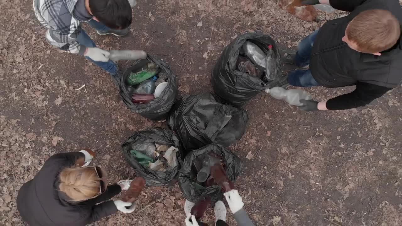 Stock Video Group Of Volunteers Recycling And Cleaning Garbage Live Wallpaper For PC