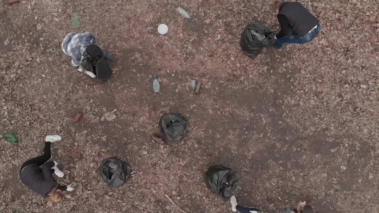 Stock Video Group Of Volunteers Lifting And Recycling Bottles Live Wallpaper For PC