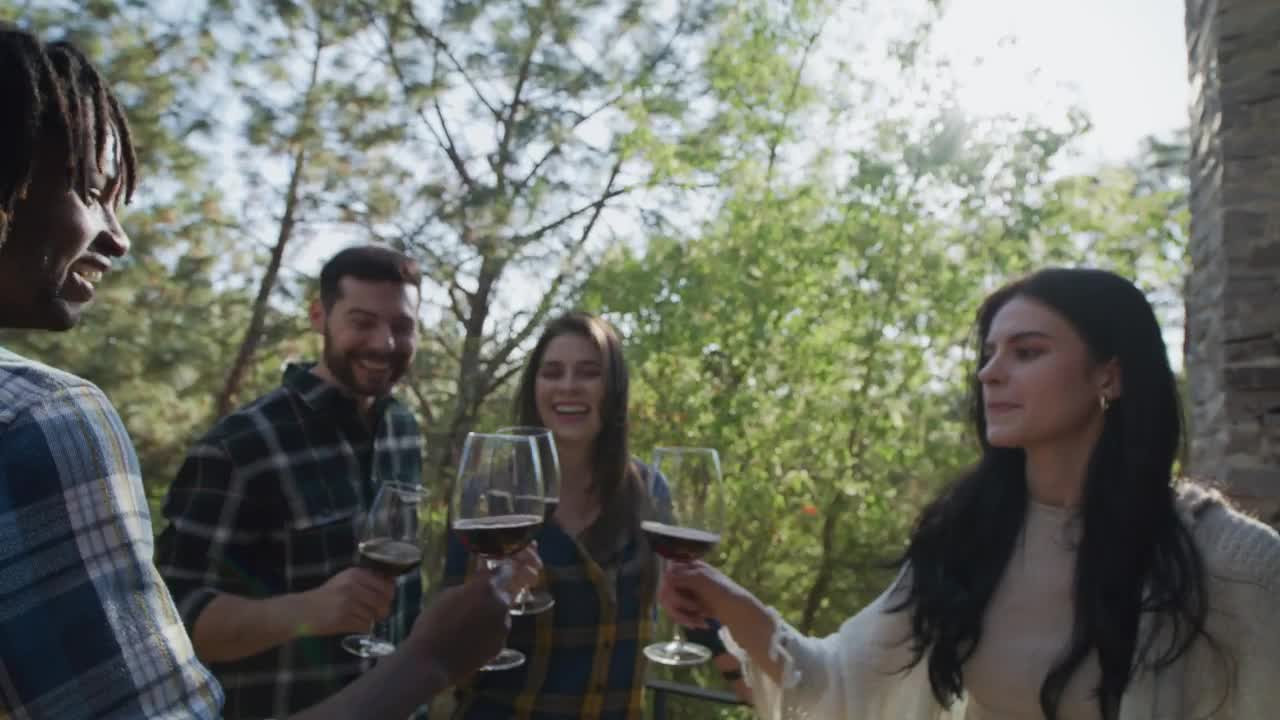 Stock Video Group Of Friends Making A Toast With Wine Live Wallpaper For PC