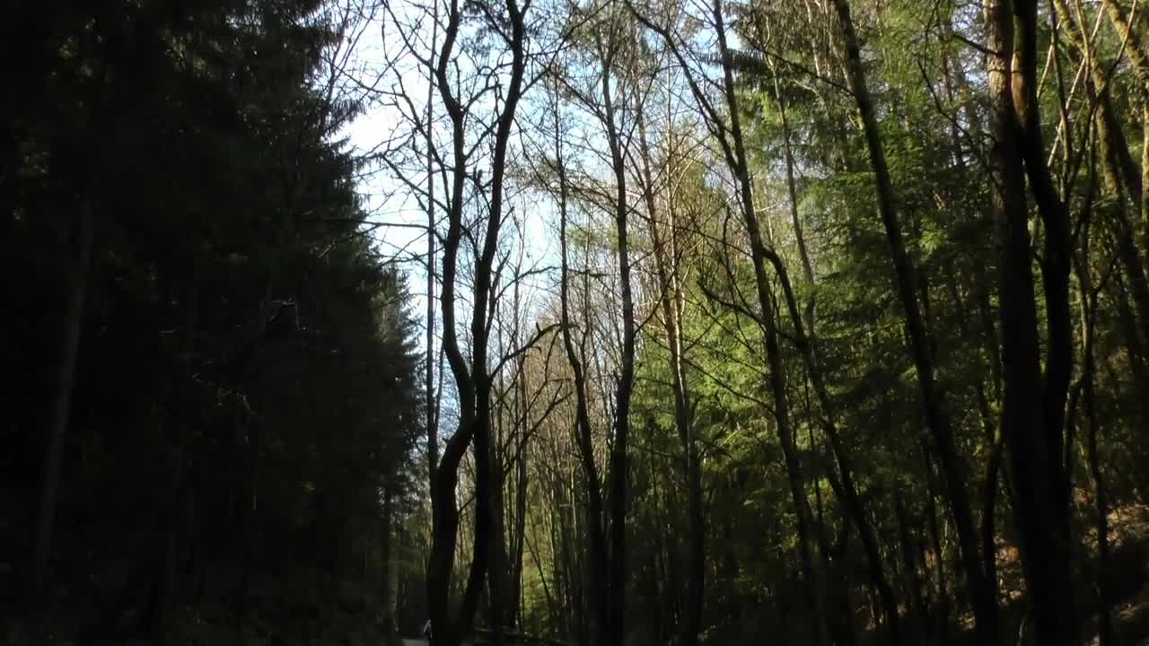 Stock Video Group Of Cyclists On A Road In The Middle Of Live Wallpaper For PC