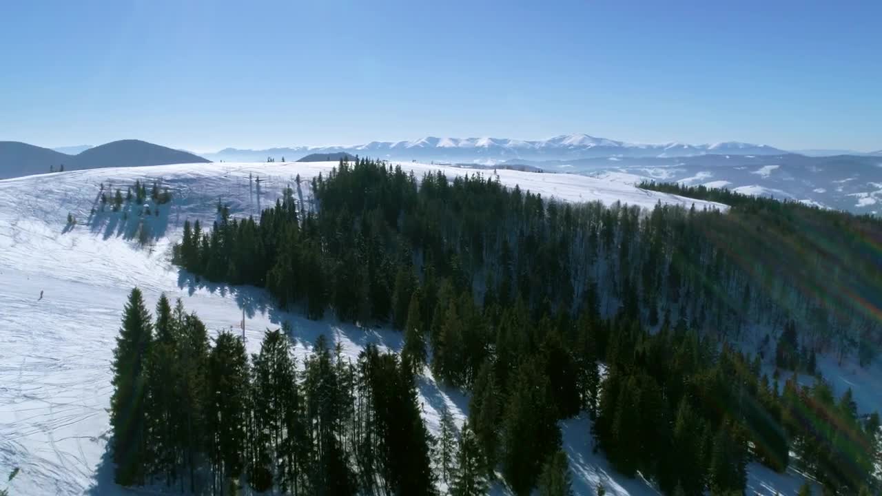 Stock Video Green Pine Trees In A Snow Covered Mountain Live Wallpaper For PC
