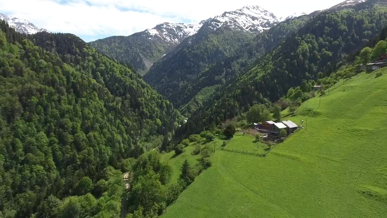 Stock Video Green Mountain Landscape Live Wallpaper For PC