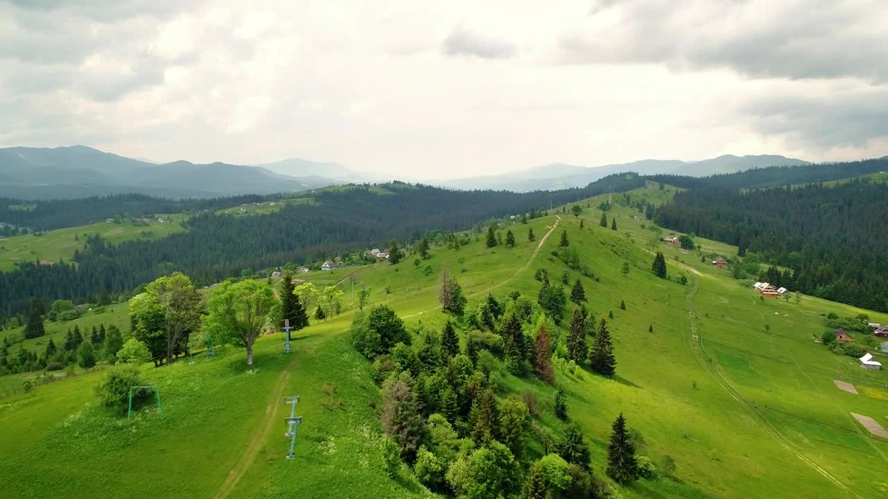 Stock Video Green Meadow In The Countryside Live Wallpaper For PC