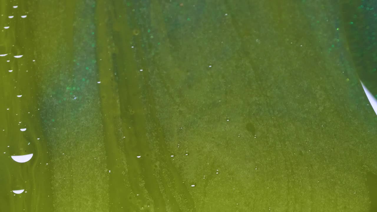 Stock Video Green Liquid Texture Live Wallpaper For PC