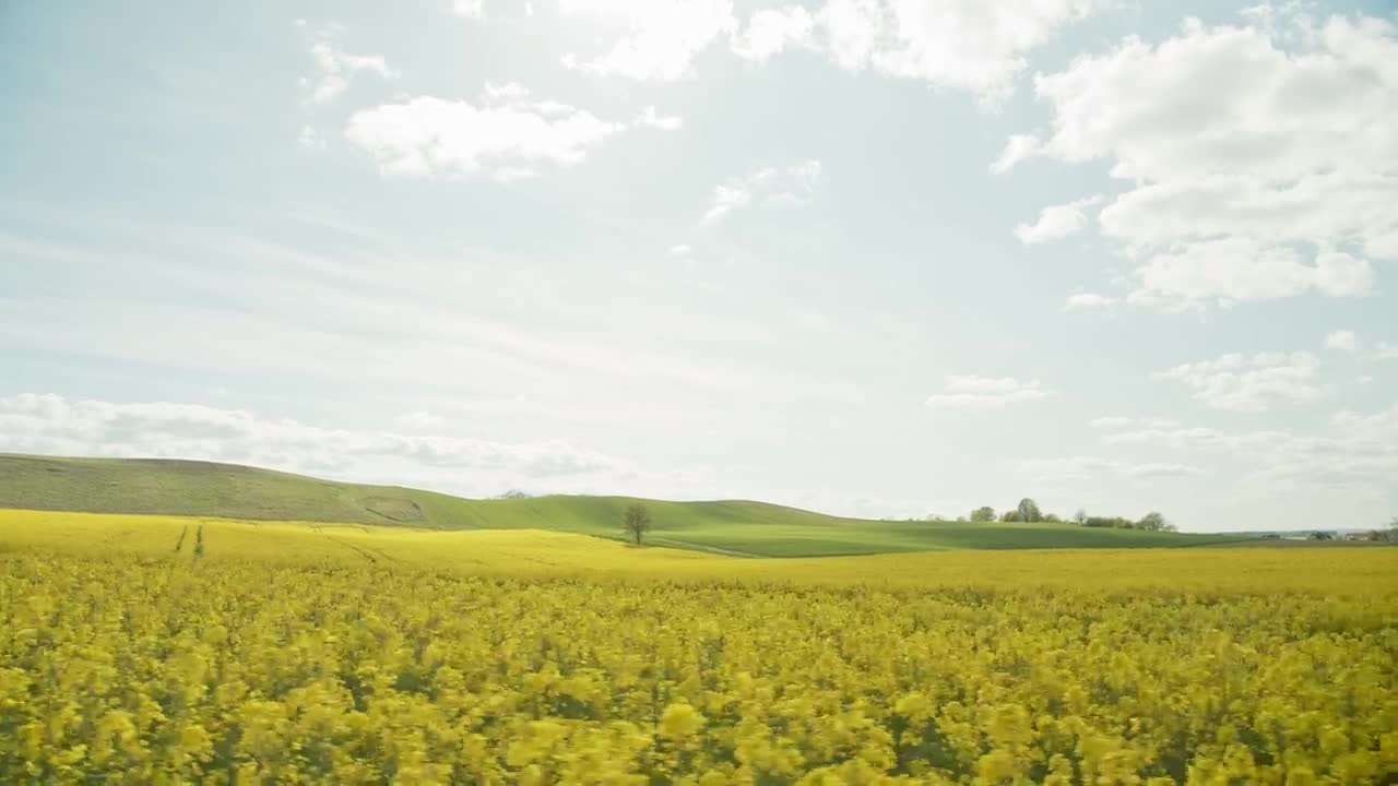 Stock Video Green Hills Behind A Crop Field Live Wallpaper For PC