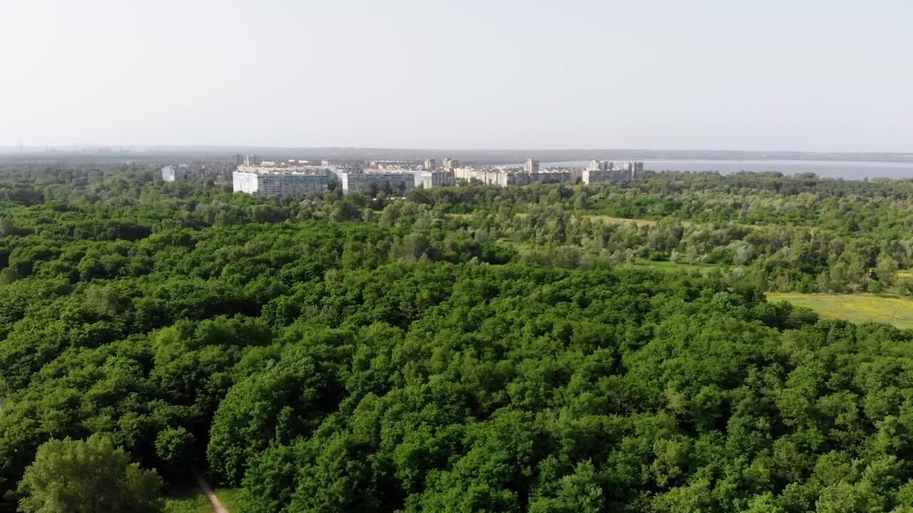 Stock Video Green Forest With A Small Town In The Background Live Wallpaper For PC