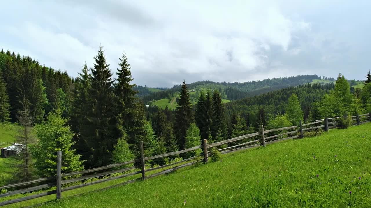 Stock Video Green Forest Near A Farm Live Wallpaper For PC