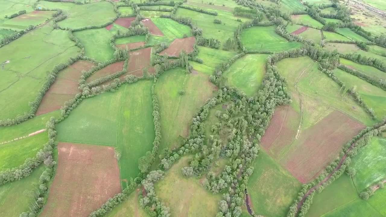 Stock Video Green Fields With Border Trees In The Valley Live Wallpaper For PC