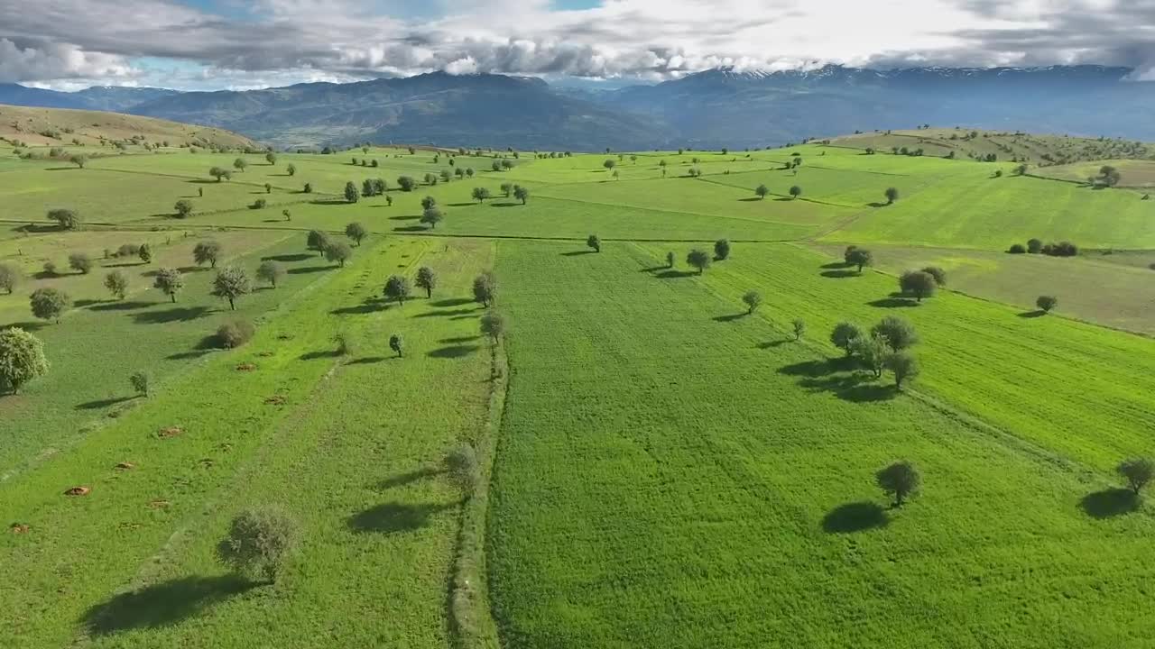 Stock Video Green Fields And Trees On A Plateau Live Wallpaper For PC