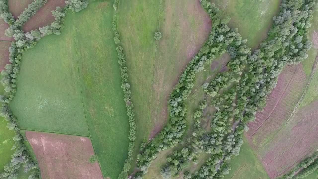 Stock Video Green Agricultural Fields By A Lake Top Aerial Shot Live Wallpaper For PC