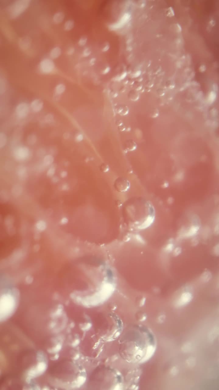 Stock Video Grapefruit Slices Live Wallpaper For PC