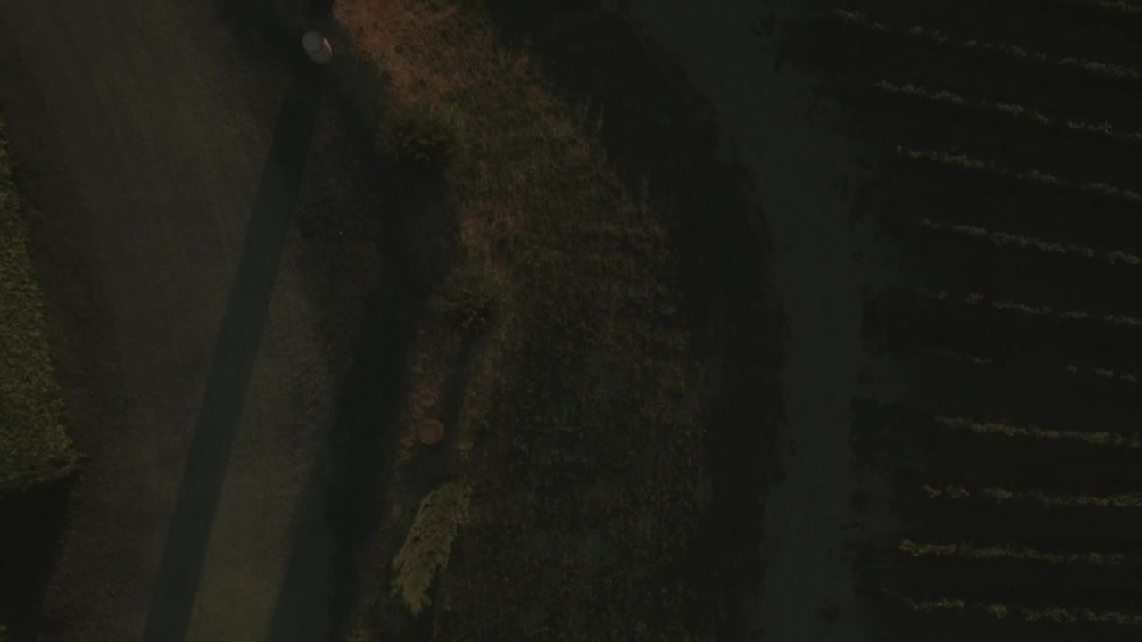 Stock Video Grape Field In Tuscany Live Wallpaper For PC