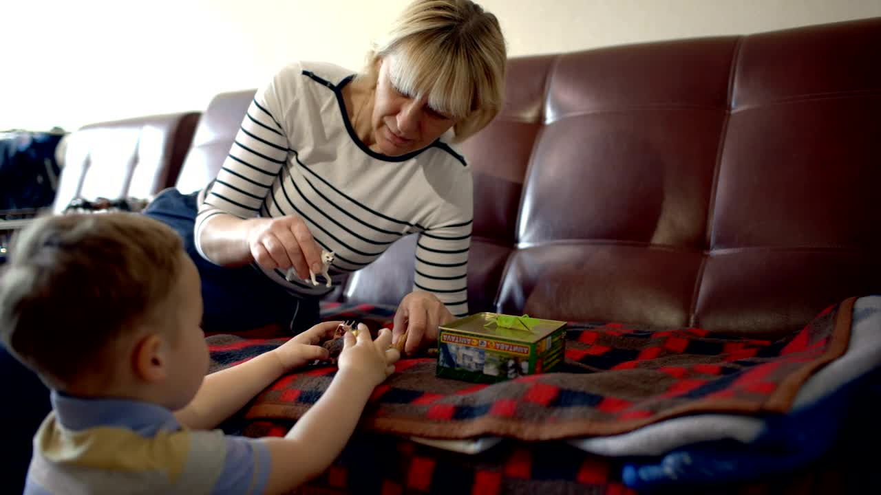 Stock Video Grandmother Playing With Her Grandson Live Wallpaper For PC