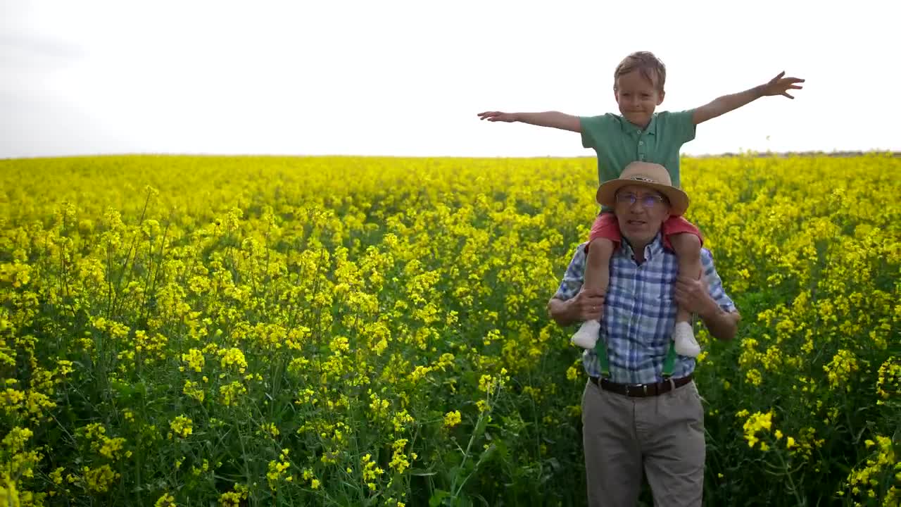 Stock Video Grandfather Walking With His Grandson Live Wallpaper For PC