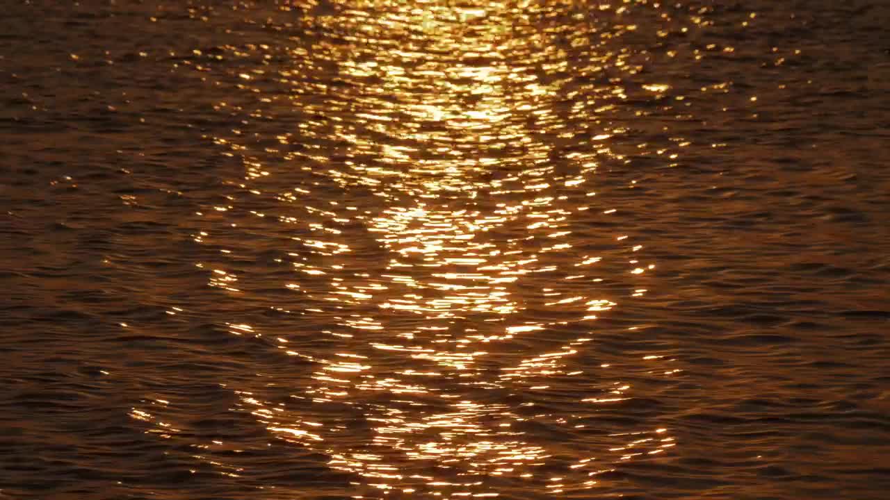 Stock Video Golden Sunshine Reflecting In The Bay Live Wallpaper For PC