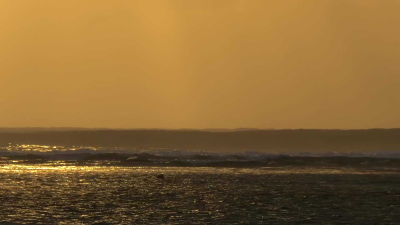 Stock Video Golden Sunset And Tall Waves Live Wallpaper For PC