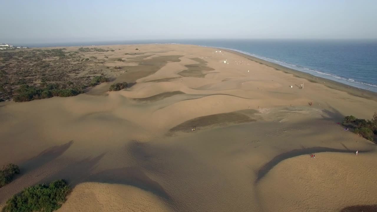 Stock Video Golden Sand Leading To The Ocean Live Wallpaper For PC