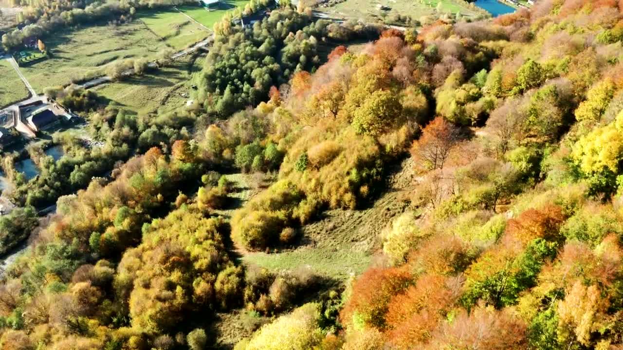 Stock Video Golden Forests And Green Fields Live Wallpaper For PC