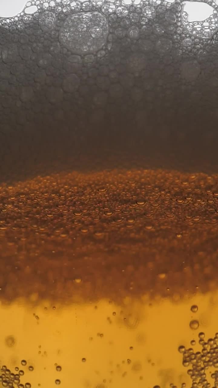 Stock Video Glass While They Serve More Beer Live Wallpaper For PC