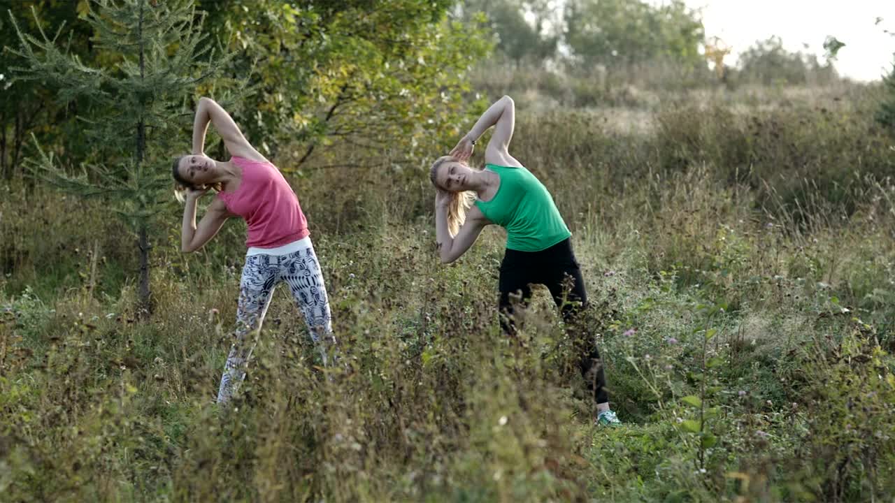 Stock Video Girls Stretching In A Field Live Wallpaper For PC