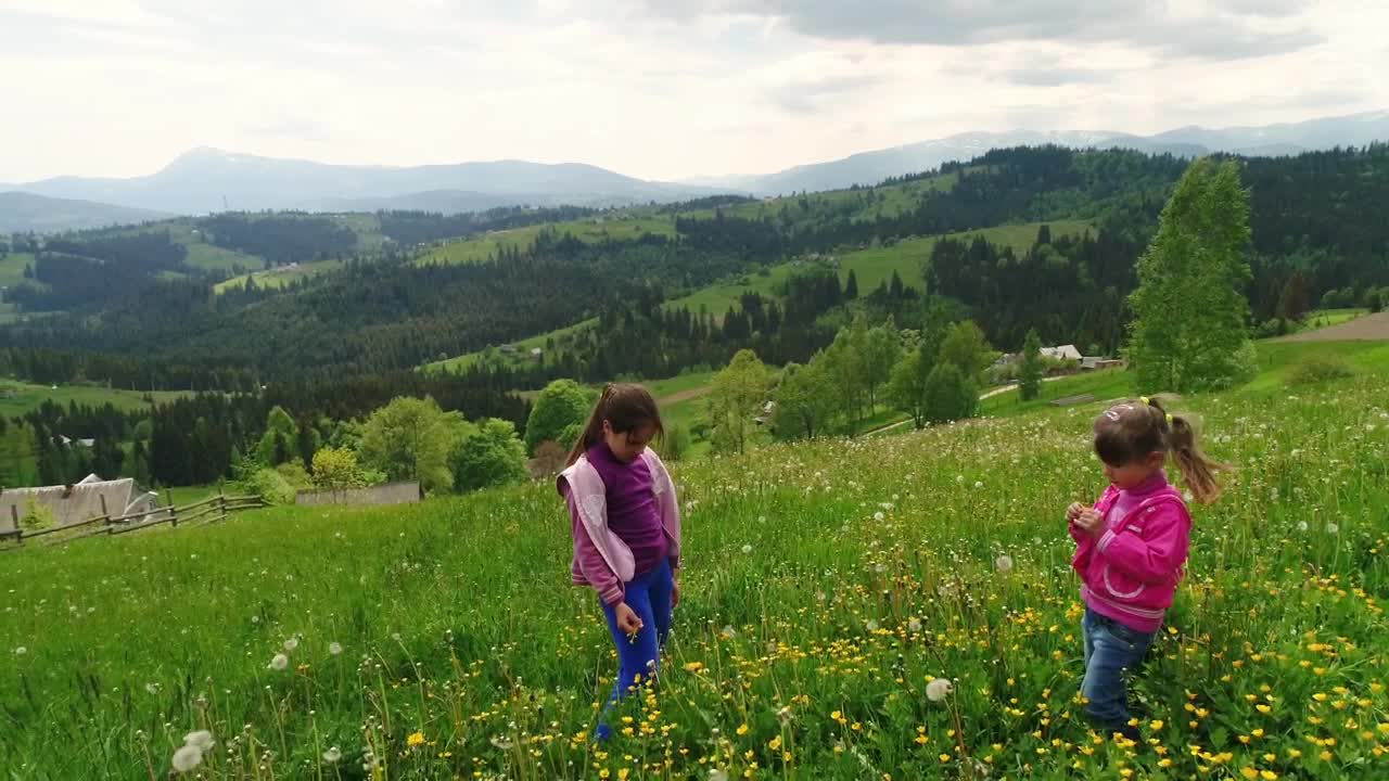 Stock Video Girls Cutting Flowers In The Meadow Live Wallpaper For PC