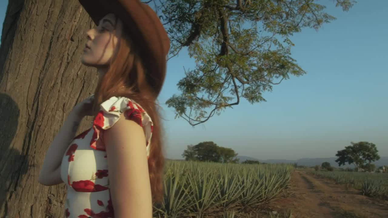 Stock Video Girl With Mexican Style Posing In A Maguey Field Live Wallpaper For PC