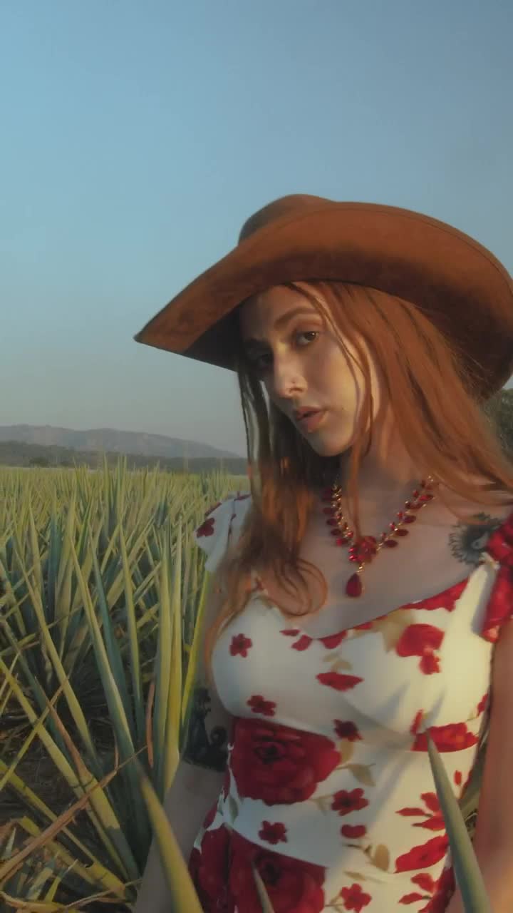 Stock Video Girl With Mexican Hat Among Many Magueys Live Wallpaper For PC