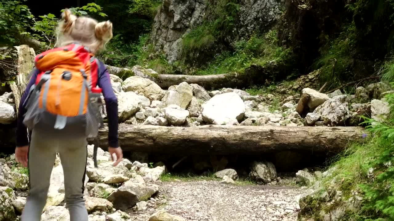 Stock Video Girl With Backpack Walking Through A Rocky Forest Live Wallpaper For PC