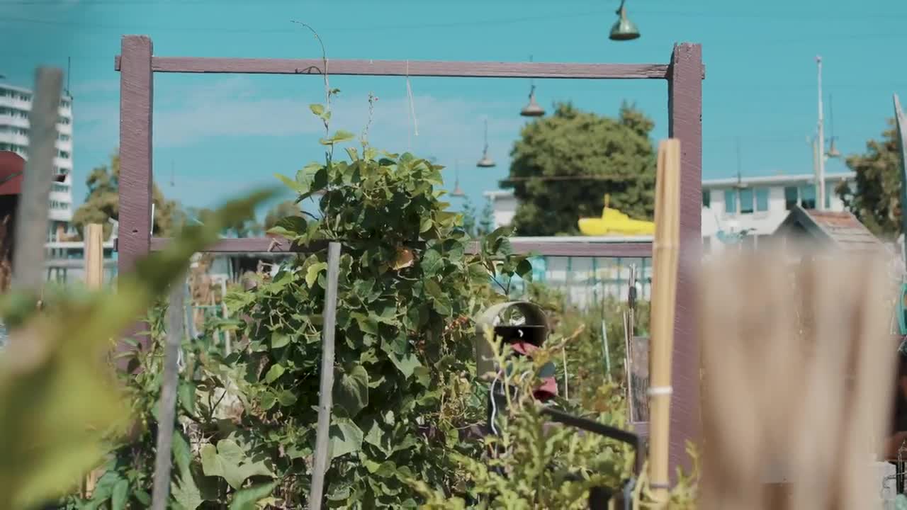 Stock Video Girl Walking Through A Nursery Garden Live Wallpaper For PC